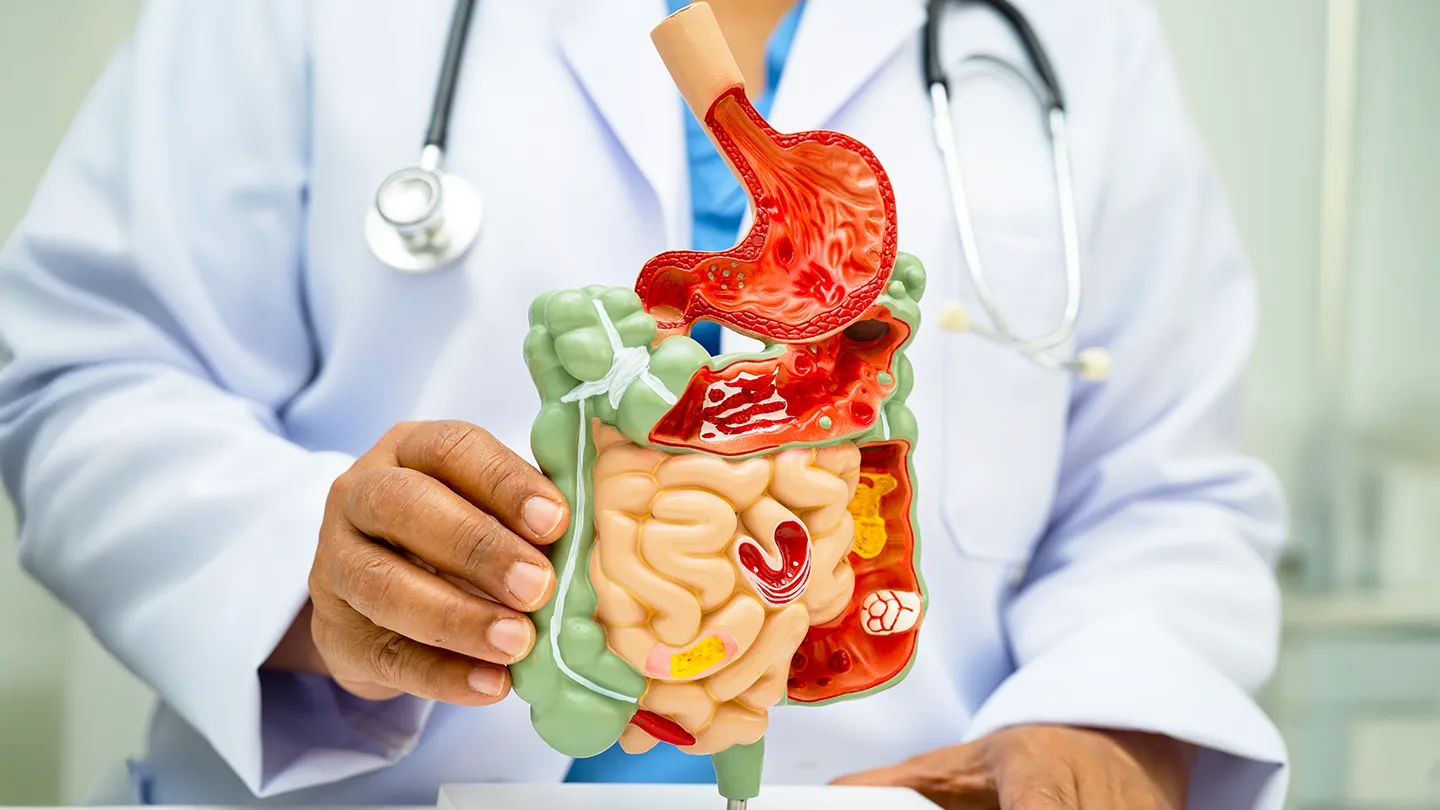 gastroenteroloji-birimi-branslarimiz-otm gastroenteroloji birimi branslarimiz otm